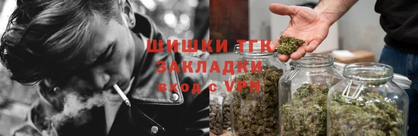 a pvp Бородино