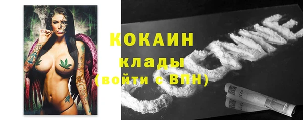 МДПВ Богородицк