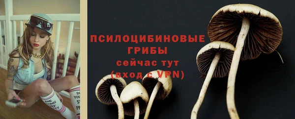 не бодяженный Губаха
