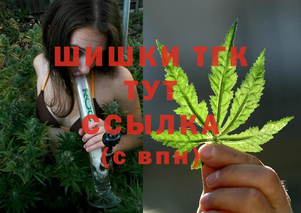 спиды Богданович