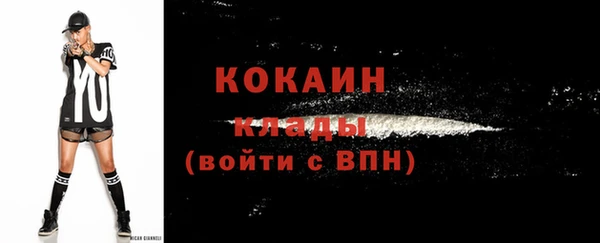 МДПВ Богородицк