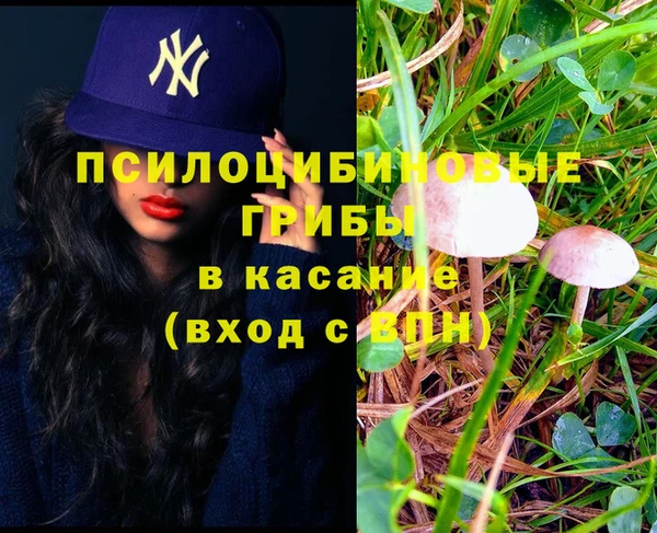 спиды Богданович